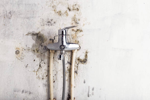 Best Mold Testing  in Rothschild, WI