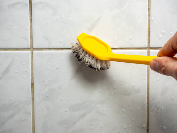 Best Mold Testing  in Rothschild, WI