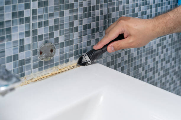 Best Office Mold Removal Services  in Rothschild, WI