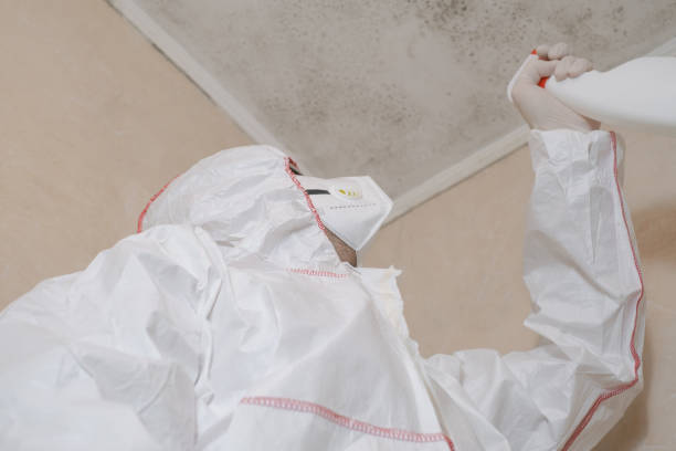 Best Commercial Mold Removal  in Rothschild, WI
