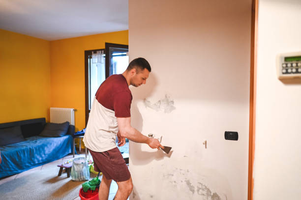 Best Residential Mold Removal  in Rothschild, WI