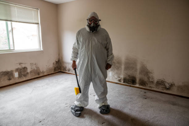Mold Removal Process in Rothschild, WI